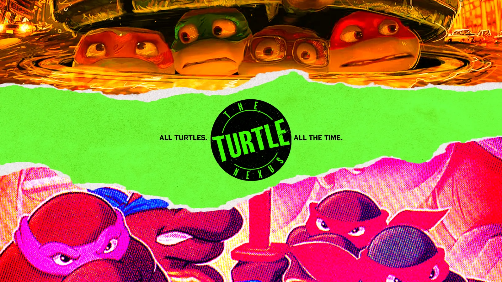 The Turtle Nexus channel banner